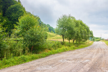 Wall Mural - gravel road runs through rural landscape of transcarpathia. peaceful scenery with country way among 