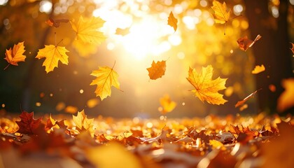Poster - Golden sunlight shines through falling autumn leaves in a peaceful forest.