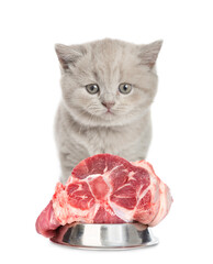 Poster - Tiny gray kitten stands with bowl of raw meat. isolated on white background