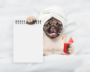 Fototapete - Funny Pug puppy holds watermelon cocktail and relaxing on the bed at beauty salon and showing empty list. Top down view