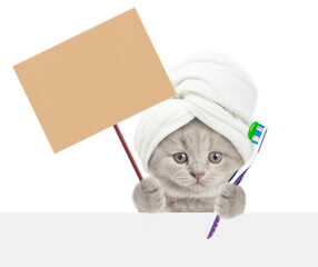 Poster - Cute kitten holds toothbrush and blank cardboard on wooden stick above blank white banner. Empty space for text. Isolated on white background