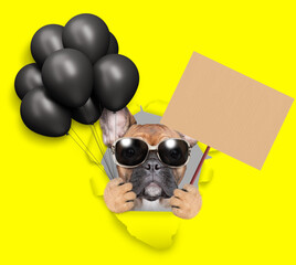 Leinwandbilder - Cute French bulldog puppy wearing sunglasses holding black balloons looking through the hole in yellow paper and shows blank cardboard on wooden stick