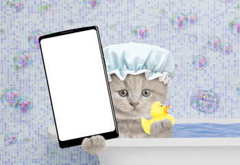 Leinwandbilder - Funny kitten wearing showert cap takes the bath at home, holds rubber duck and shows big smartphone with white blank screen in it paw. Top down view