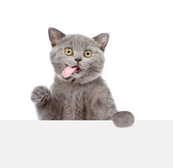 Poster - Licking lips cat looks above blank white banner. isolated on white background