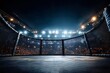 © Oleh - Empty fighting arena with metal cage and bright lights illuminating crowded stadium