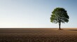 © my - AI Generated Minimalist Landscape. Lone Tree with Vast Negative Space on Plowed Field
