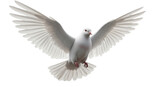 High-quality 3D render of a white dove in graceful flight, isolated on a transparent PNG background. Symbol of peace, hope, or purity. Art scale.