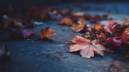 Poster - Autumn leaves lying on the floor