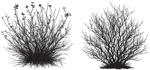  set of bare bush grass shrub herb bush bare tree silhouette vector transparent background  
