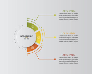 Fototapete - Vector infographic label design with circle infographic template design and 3 options or steps.