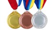 © Selvi - Gold bronze silver medals achievement award winning