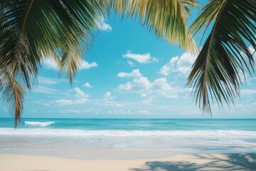 Wall Mural - Tropical beach with palm trees and clear blue sky on a sunny day, Tropical beach at sunny day with clear blue sky, white sand and sea waves vid