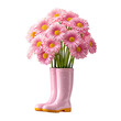 © SK Stock - Pink daisies in pink rubber boots isolated on transparent background