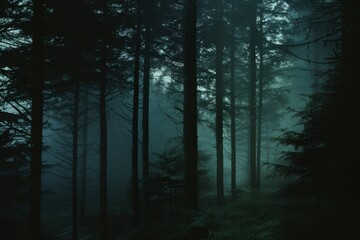  A Misty Forest Path Unveiling Secrets In The Dark Woods