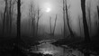 © Boy - Foggy, barren forest, sunlit stream
