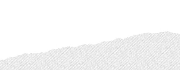 Poster - White canvas paper texture with ripped edge, showing rough torn border and subtle grain, isolated on transparency background, creating minimalist and creative design