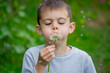 © Anna - Boy blowing on a dandelion. Allergy.