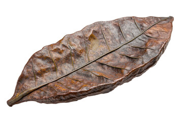 Poster - Detailed close-up of a green leaf showcasing vibrant textures and intricate vein patterns on a transparent background for versatile design purposes