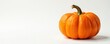 © somsak - Single ripe pumpkin, vibrant orange, smooth skin , bright, decoration