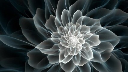 Wall Mural - ethereal blooming flower in abstract digital art with soft petals and subtle light effects