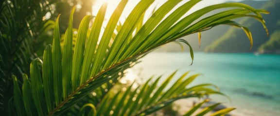 Poster - Palm fronds are silhouetted against a turquoise sea with a tranquil and exotic backdrop.