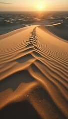 Poster - Golden sand dunes under the warm glow of sunset, showcasing the abstract rippled texture and vastness of the desert landscape.