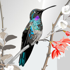 sword-billed hummingbird vector illustration: a detailed, scalable artwork of the unique bird with a