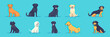 © Perfect Vector - Set of twelve flat minimalist vector illustrations of diverse dog breeds sitting and standing in various poses on blue background including labrador, poodle, rottweiler, golden retriever and shiba inu