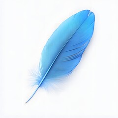 Wall Mural - vibrant blue feather with intricate textures on a clean white background