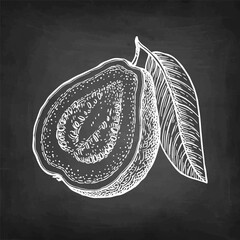 Wall Mural - sliced guava with leaf chalk sketch