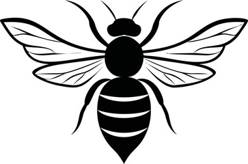 Poster - Black and white honeybee silhouette with detailed wings, graphic. Vector illustration