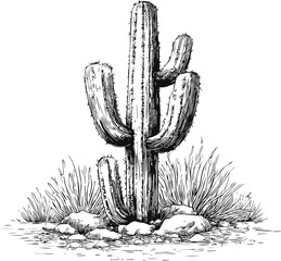 Wall Mural - black and white drawing of a tall cactus with desert plants and rocky ground. vector illustration