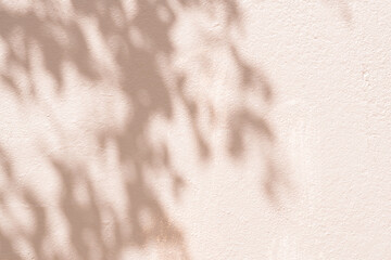 Poster - Studio background,Leaves shadow with sunbeam reflection on brwon concrete wall texture background,Empty beige Studio Room with abstract light on Cement floor,Backdrop display for product presentation.