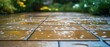 © Adi - Rainy day on patio tiles. Water droplets on surface and garden in background