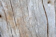 © Martin of Sweden - Wooden surface background. Old tree without bark.