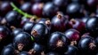 © Irina - Ripe blackcurrant on supermarket fruit stand