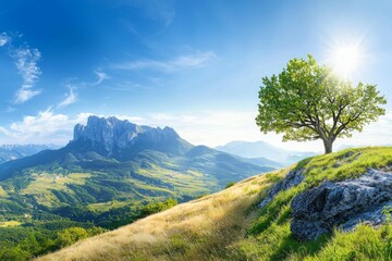 Wall Mural - Tree is growing on a hillside in a beautiful, sunny day