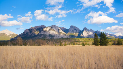 Wall Mural - mountain landscape. sunbeams in a valley. field and forest in a mountain valley. natural landscape w