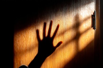 Poster - Shadow of a hand against a wooden door illuminated by soft evening light in an indoor setting