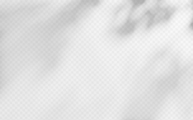Wall Mural - abstract shadow overlay from tree branch on a transparent background.