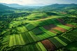 © Prosanjit12 - Farm aerial showing leafy crop sections high resolution picture