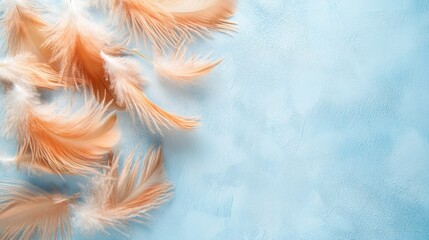 Naklejka na meble Brown feather duster arranged neatly on a pale blue surface with feathery textures in focus