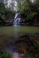 Canvas Print - beautiful falls in the rainforest.