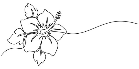 Hibiscus flower in one continuous line art drawing style. Floral abstract symbol in simple linear style. Minimalist black line sketch isolated on white background. Vector illustration.