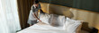 © pressmaster - Housekeeper adjusting pillows and making bed in a modern hotel room. Neatly arranged white linens create a clean and welcoming atmosphere