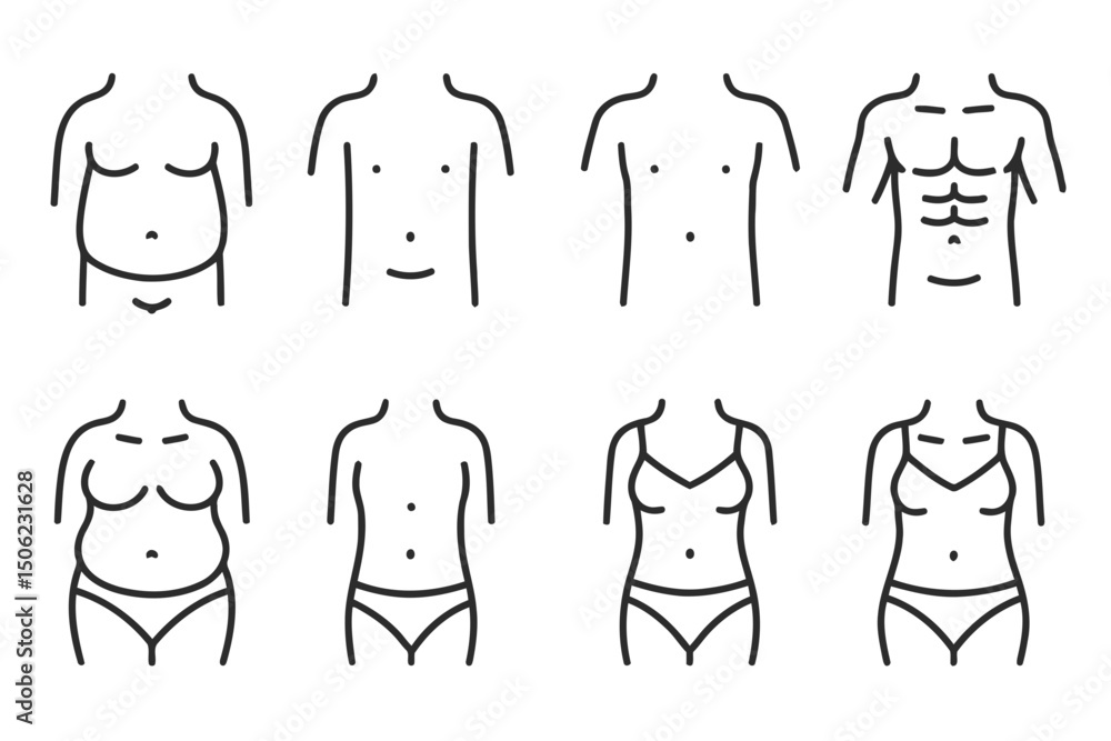 Vector illustration showing different body types for males and females ...