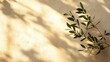 © Fahry - Olive branch shadows on beige background