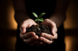 © Pixels Pictures - A close-up photograph of hands cupping dark soil with a single small green plant sprout growing from it.