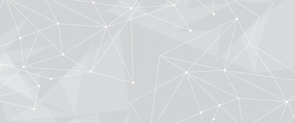 Leinwandbilder - Abstract geometric background with connecting dots and lines with low poly triangle shapes. Polygonal Mesh Background Vector design digital technology concept Global network connection data structure.