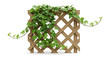 © adebaguspr - Lush green ivy cascading over a light brown wooden lattice trellis